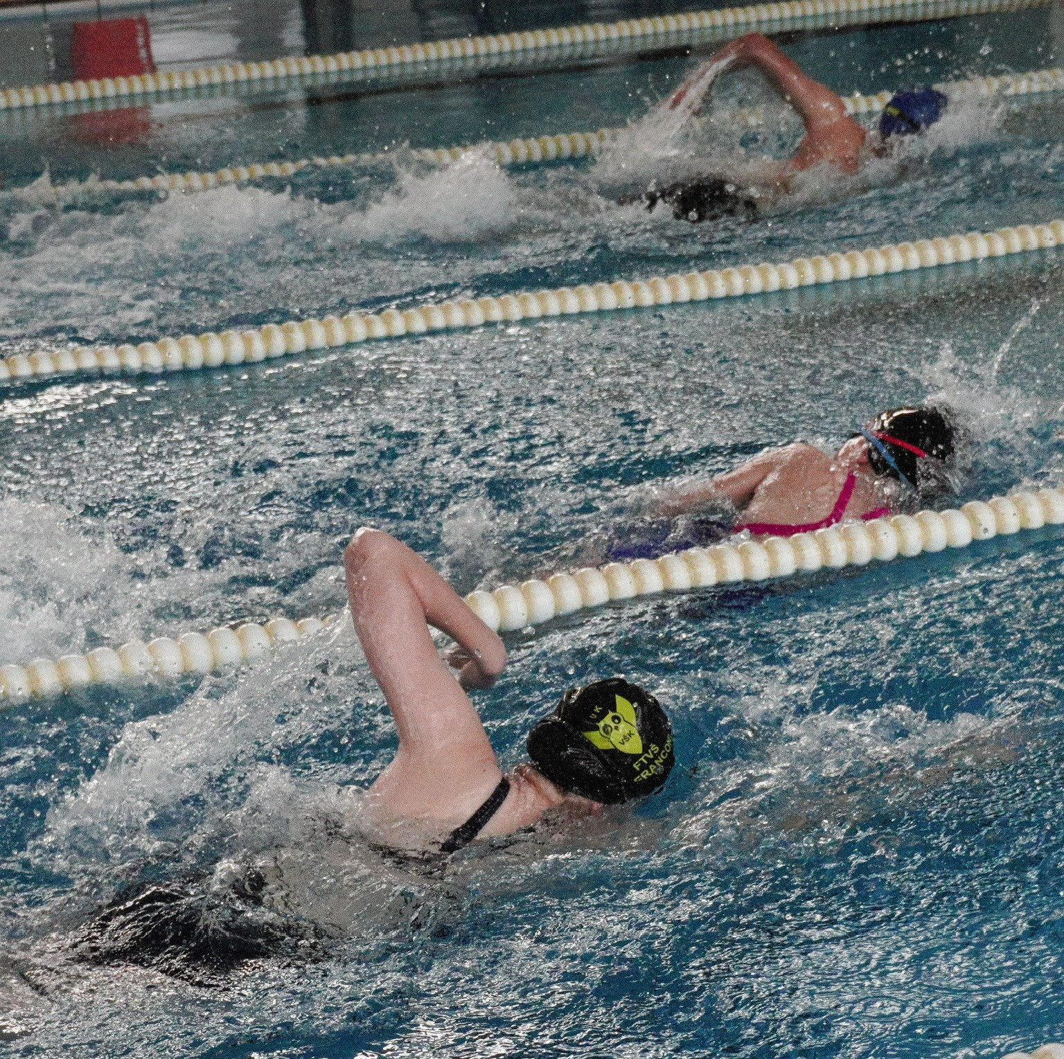 Plaváreň Iuventa ožila pretekmi D4L!